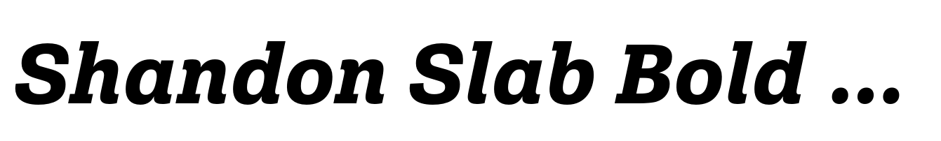 Shandon Slab Bold Italic
